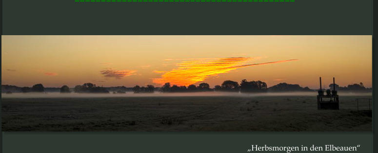 ------------------------------------------ „Herbsmorgen in den Elbeauen“